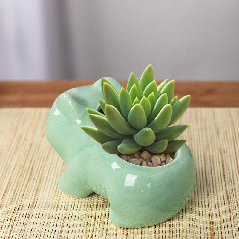 Adorable Green Ceramic Animal Pots - High Street Cottage