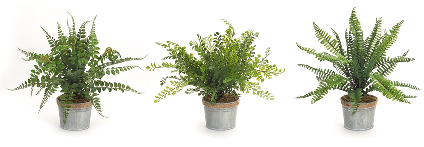 Realistic Potted Faux Ferns - Sets of 3 - High Street Cottage