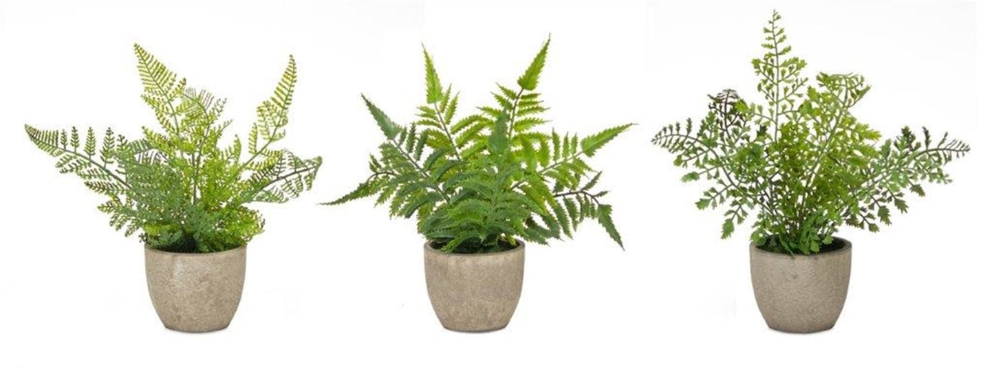 Realistic Potted Faux Ferns - Sets of 3 - High Street Cottage