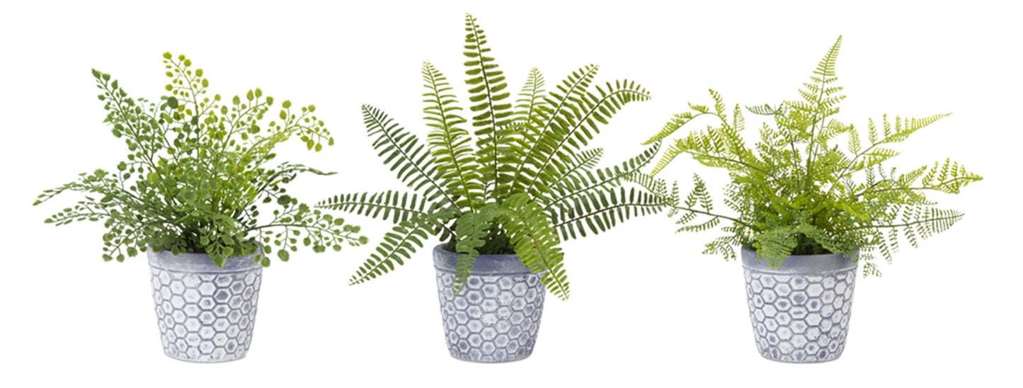 Realistic Potted Faux Ferns - Sets of 3 - High Street Cottage