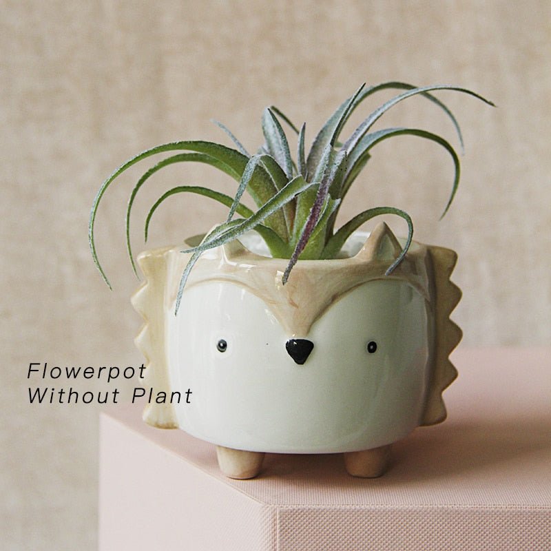 Whimsical Animal Ceramic Pots - High Street Cottage