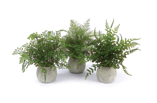 Realistic Potted Faux Ferns - Sets of 3 - High Street Cottage